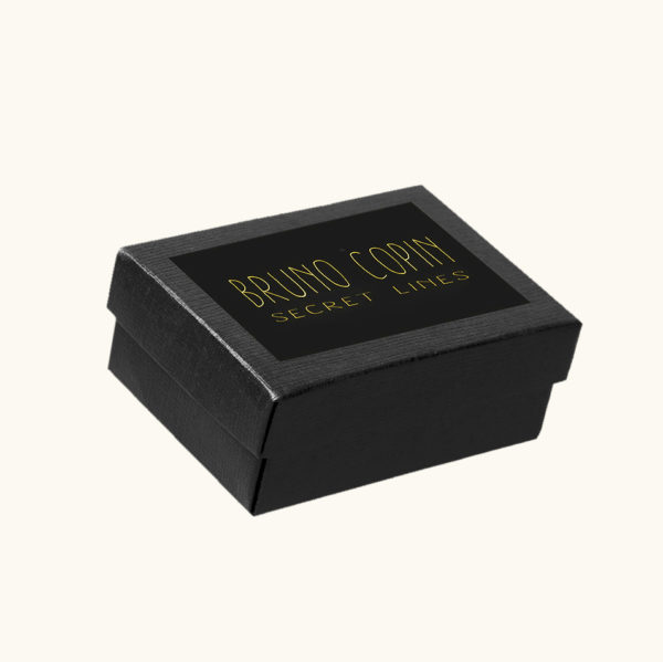 Boite secret lines-new